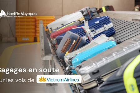 bagages-en-soute-sur-les-vols-vietnam-airlines-thumbnail