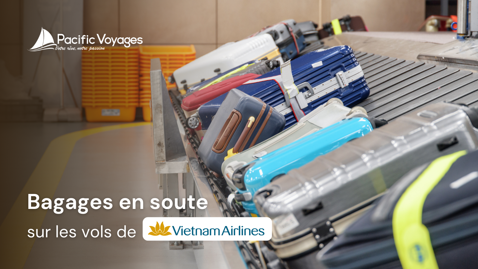 bagages-en-soute-sur-les-vols-vietnam-airlines-thumbnail