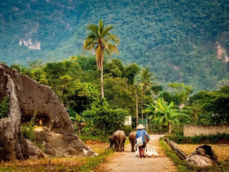 Découverte du Tonkin du Vietnam