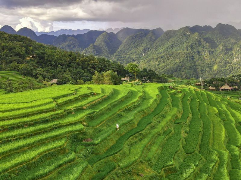 Découverte du Tonkin du Vietnam