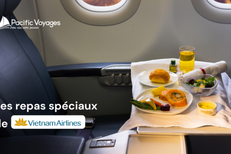 Les repas spéciaux de Vietnam Airlines : Un guide complet